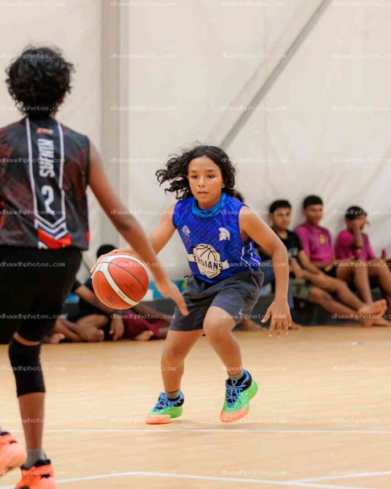 All Star League 2025 Collection Image